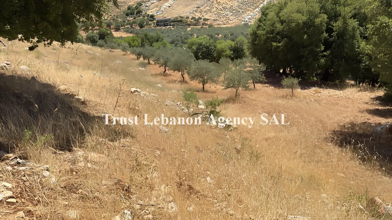Land for Sale in Rashaya, Kawkaba