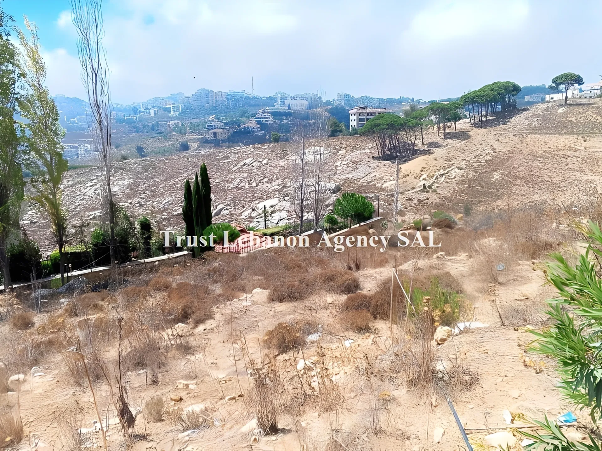 Land for Sale in Souq El Gharb