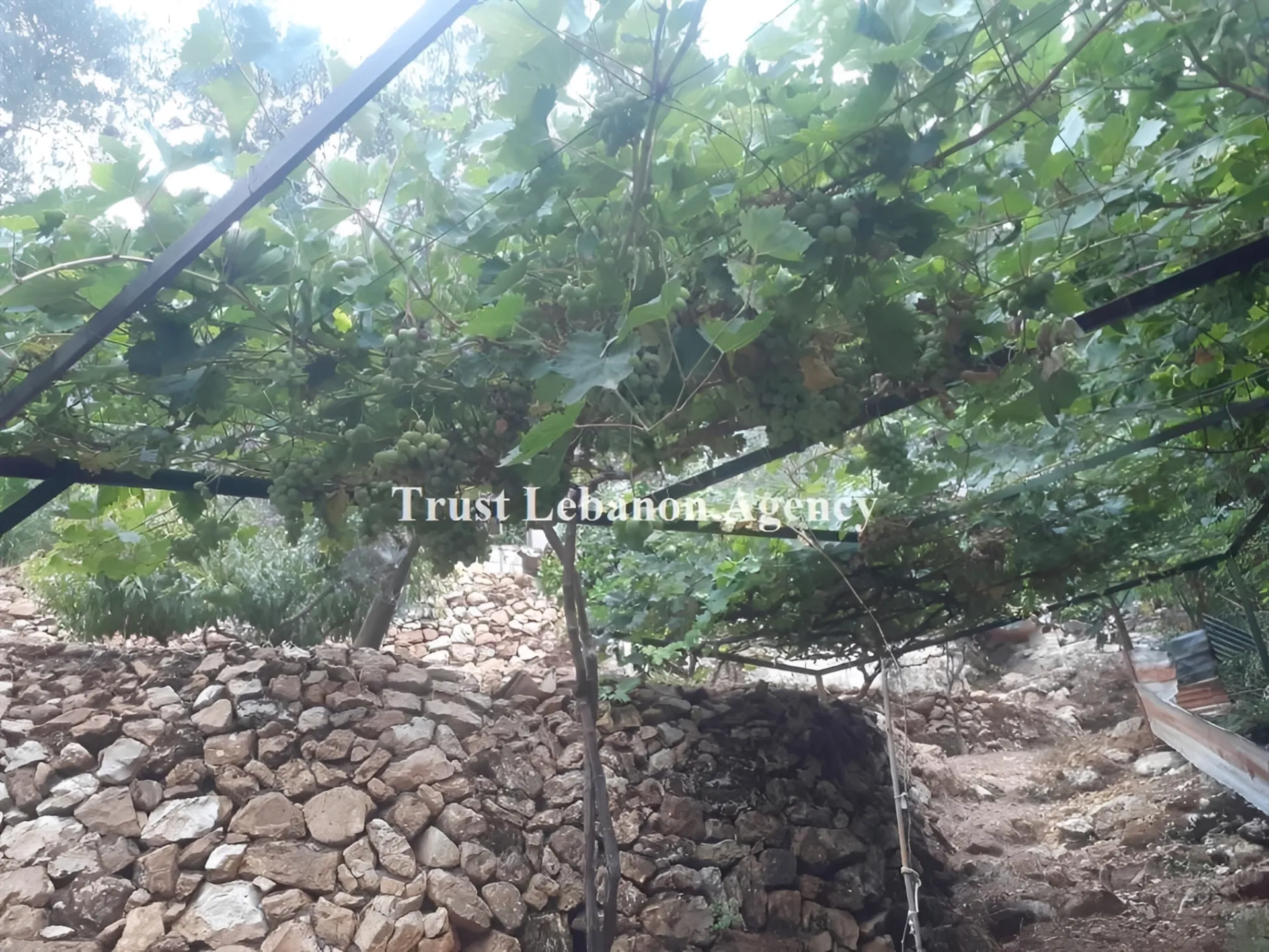 Land for Sale in Jezzine