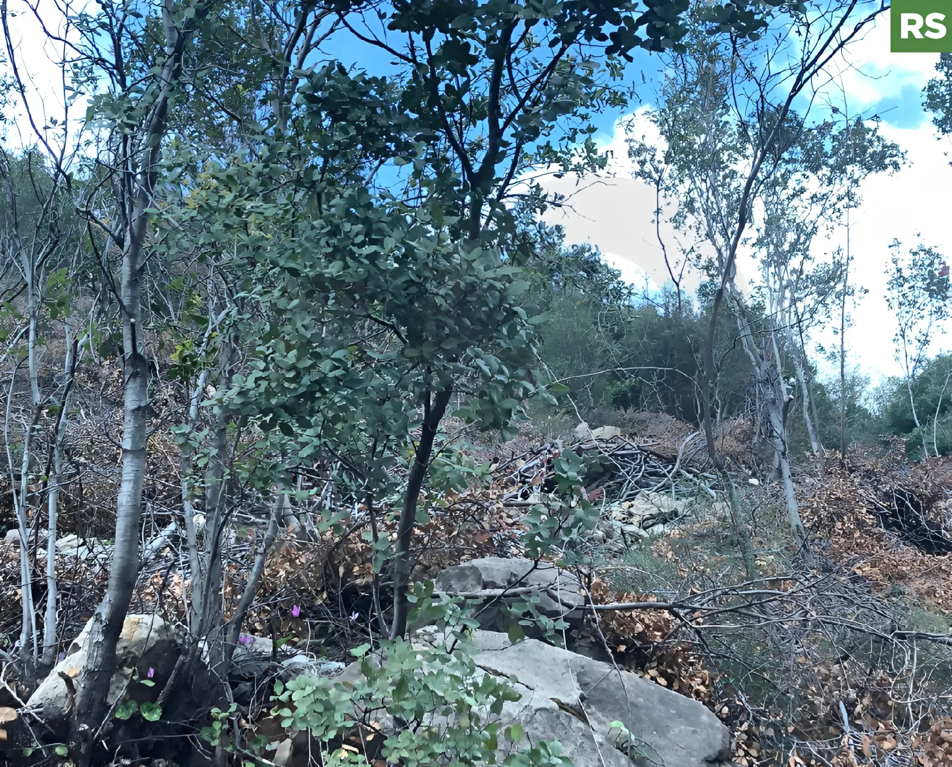 Land for Sale in Byblos