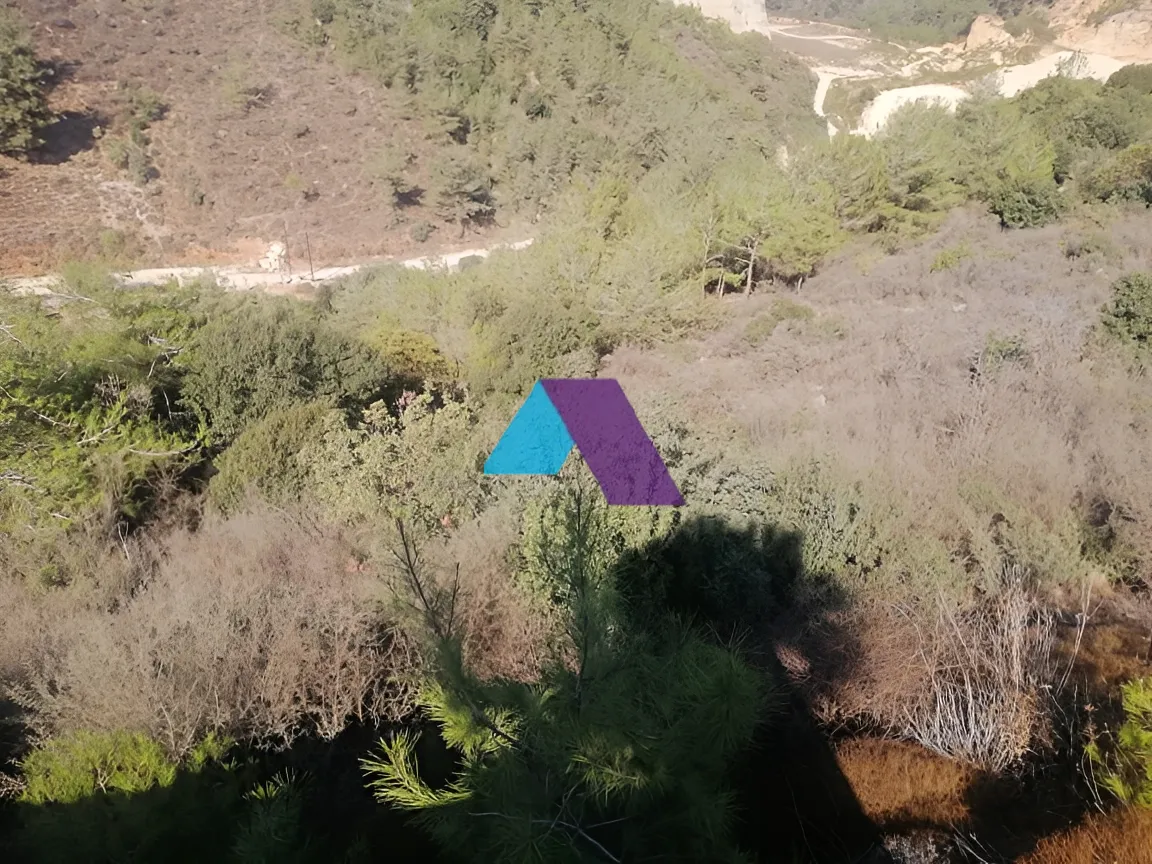 Land for Sale in Baasir