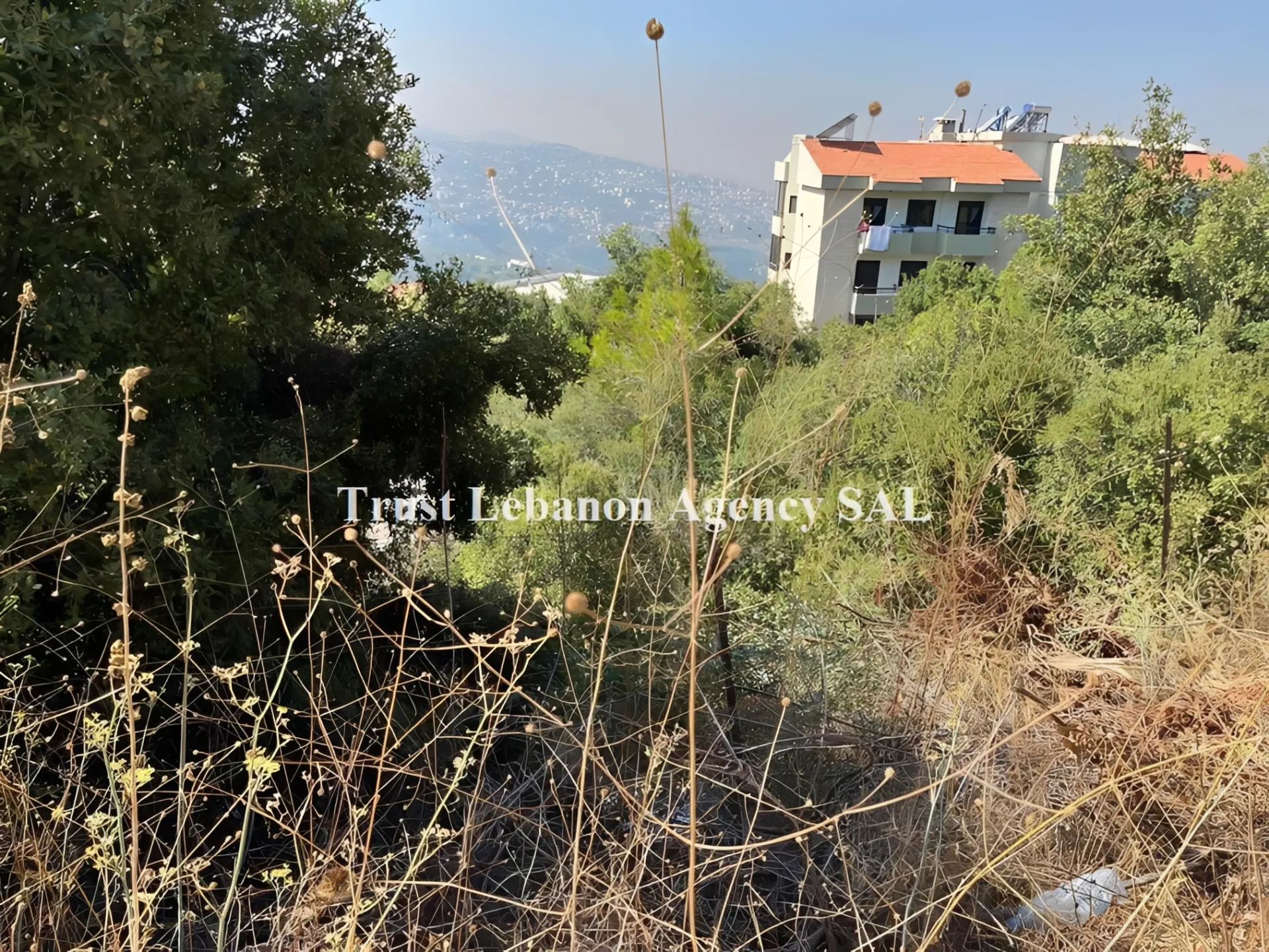 Land for Sale in Keserwan Ballouneh Lebanon