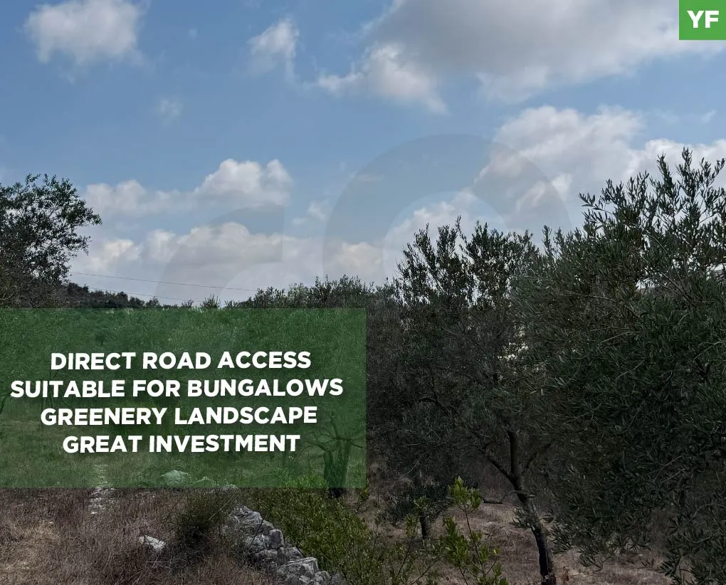Land for Sale in Jezzine
