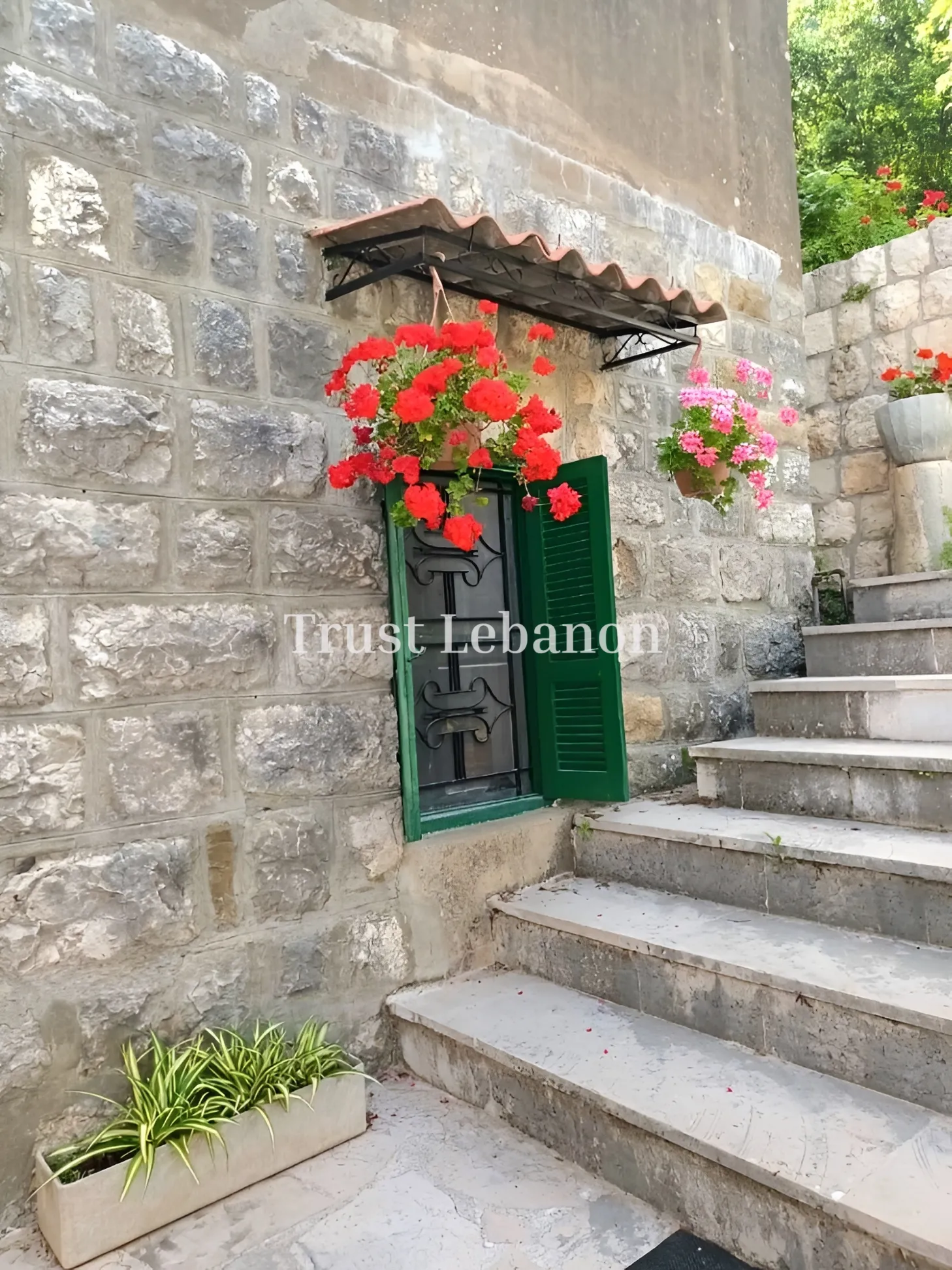 House for rent in Delbta