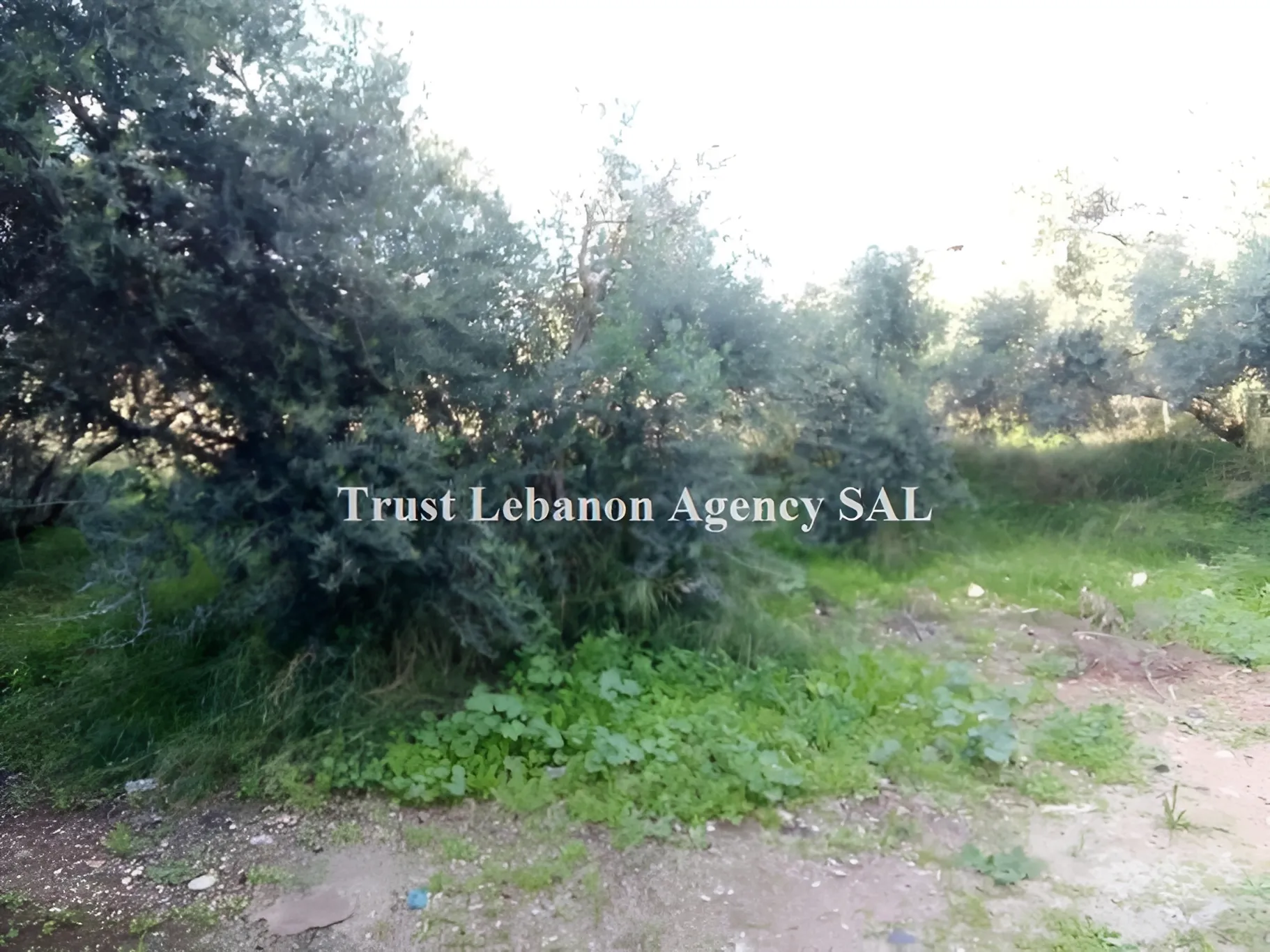 Land for Sale in Baabda Kfarchima Lebanon