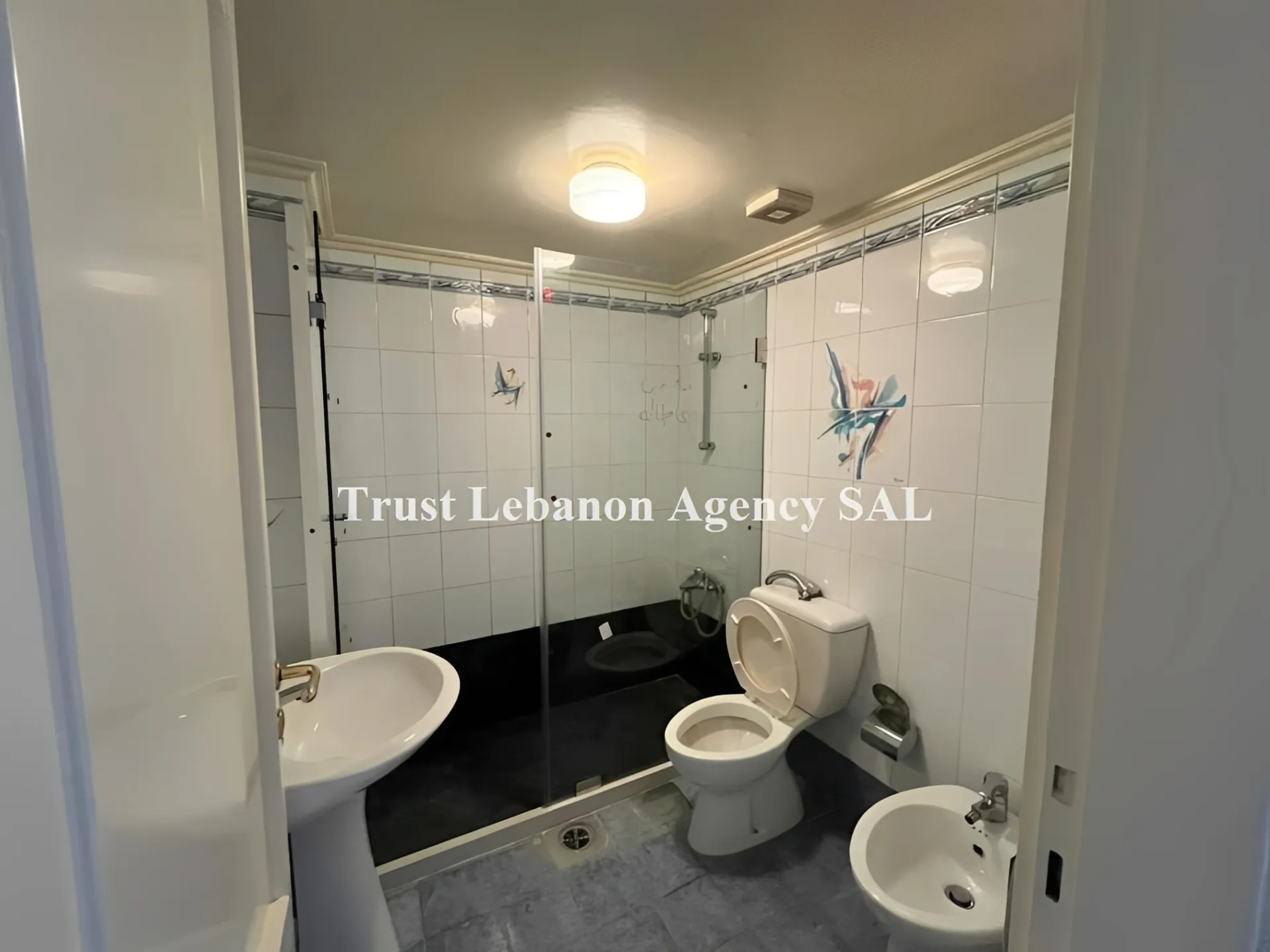 Apartment for Rent in Metn Awkar Lebanon