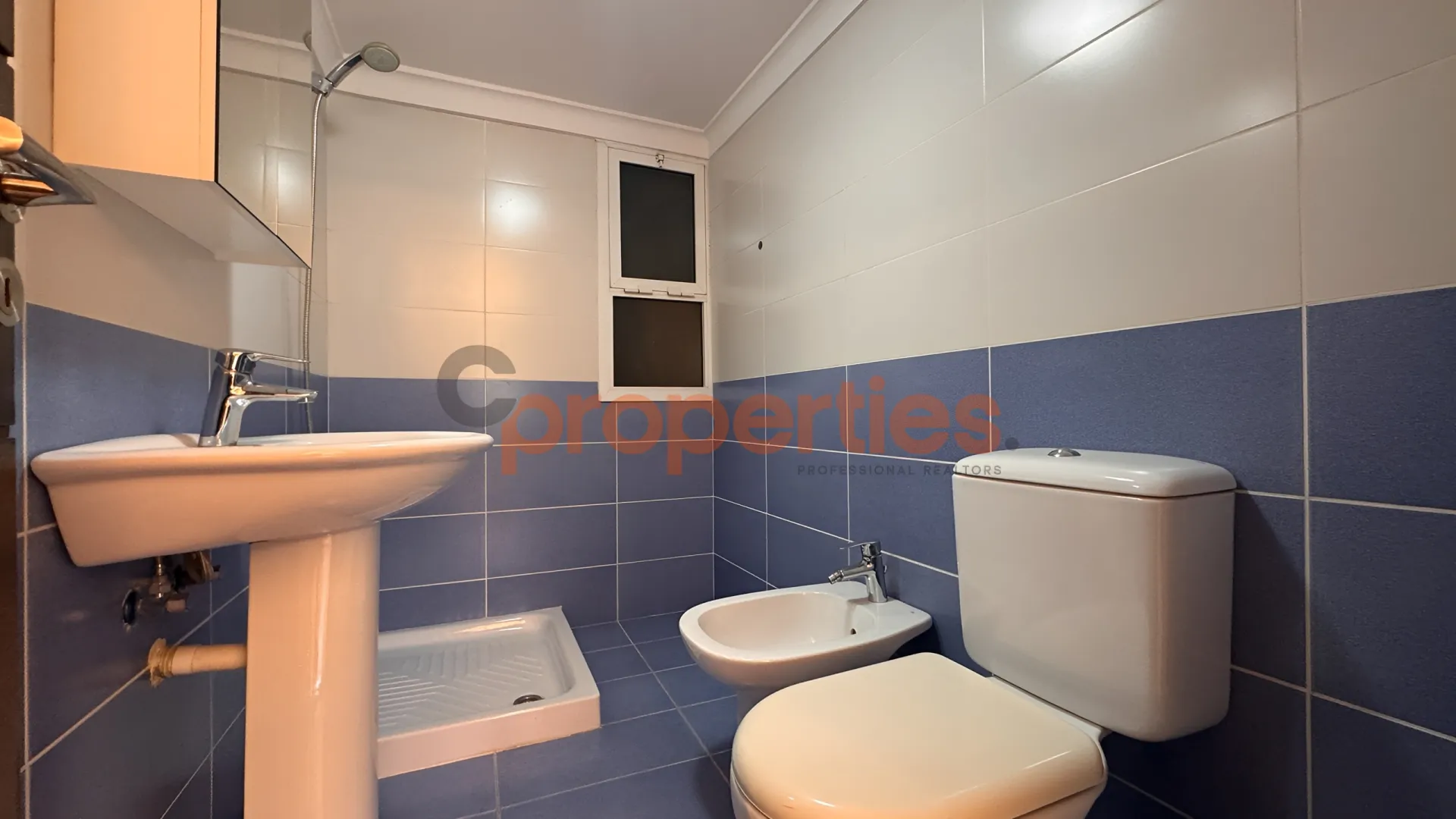 Apartment for Rent in Dik El Mehdi