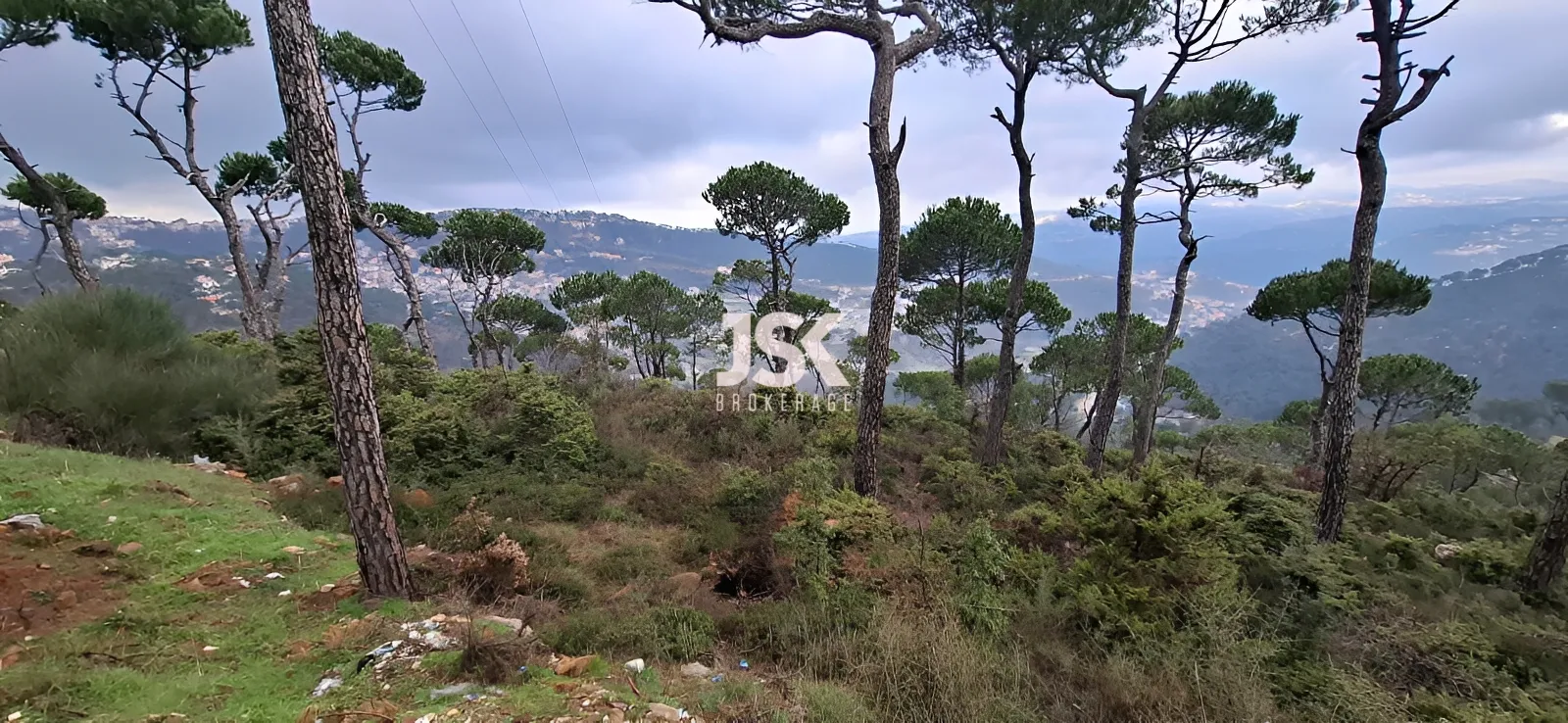 Land for Sale in Bolonia