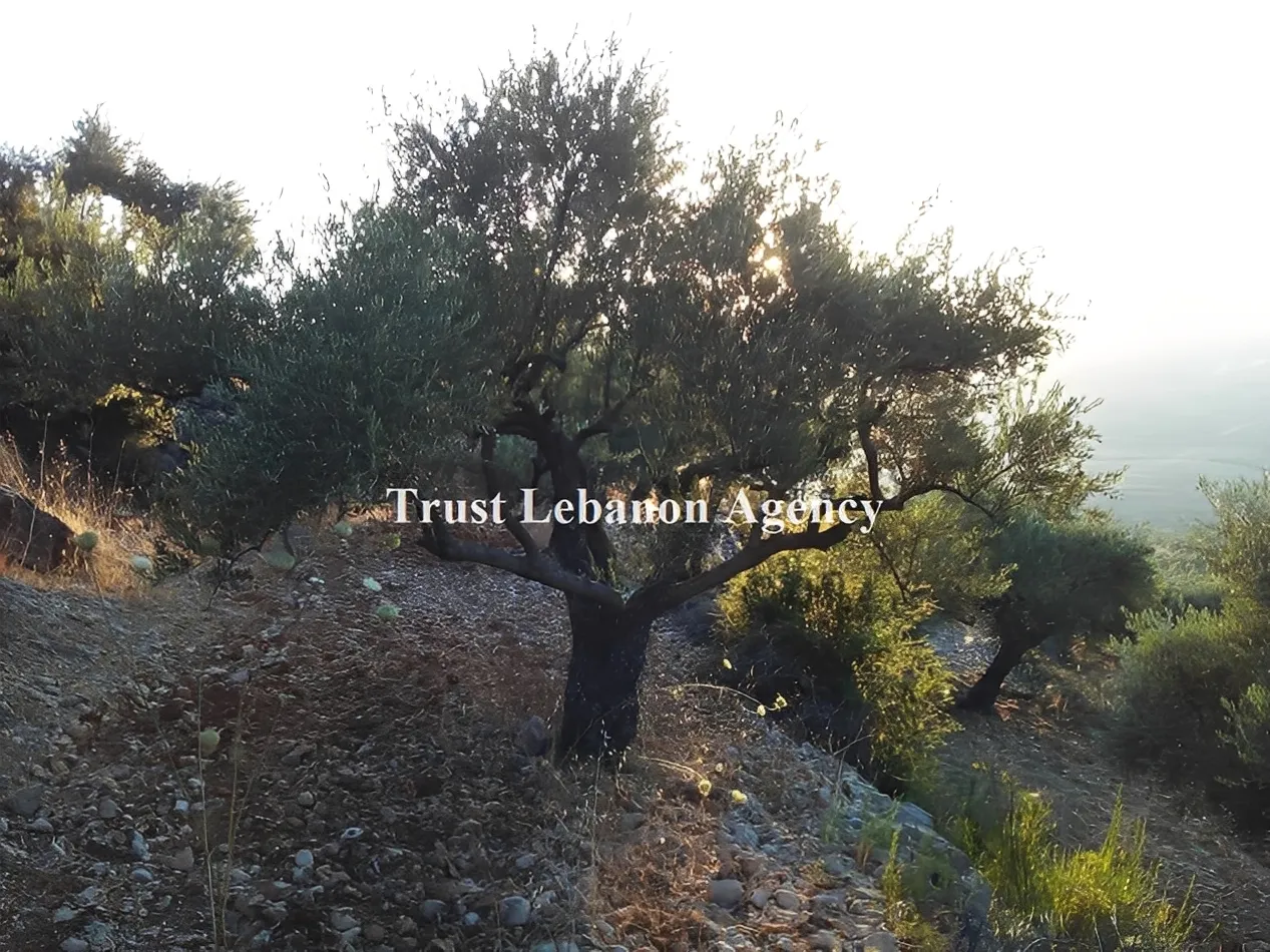 Land for Sale in Hasbaya Al kfeir Lebanon