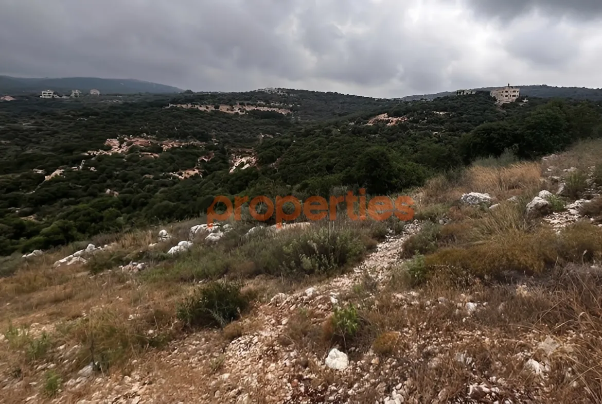 Residential Land for Sale in Chabtine
