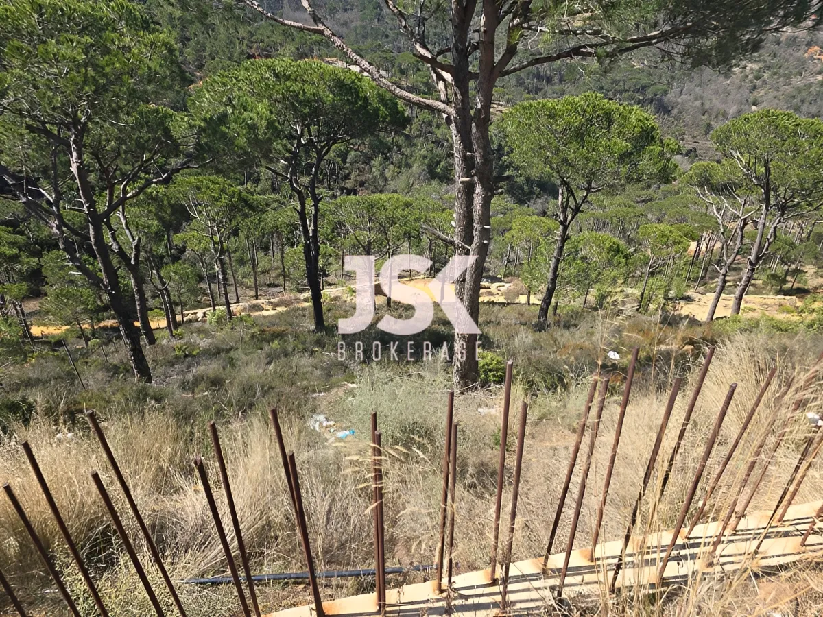 Land for Sale in Choueir, Lebanon