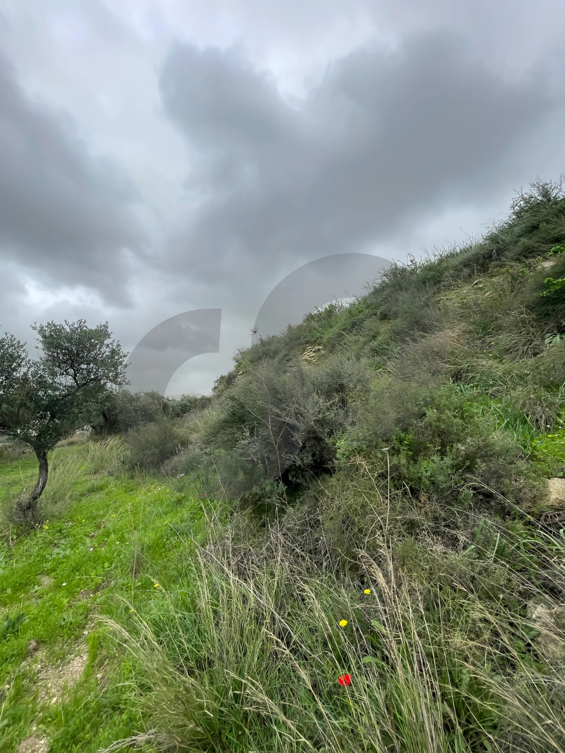 Land for Sale in Chekka