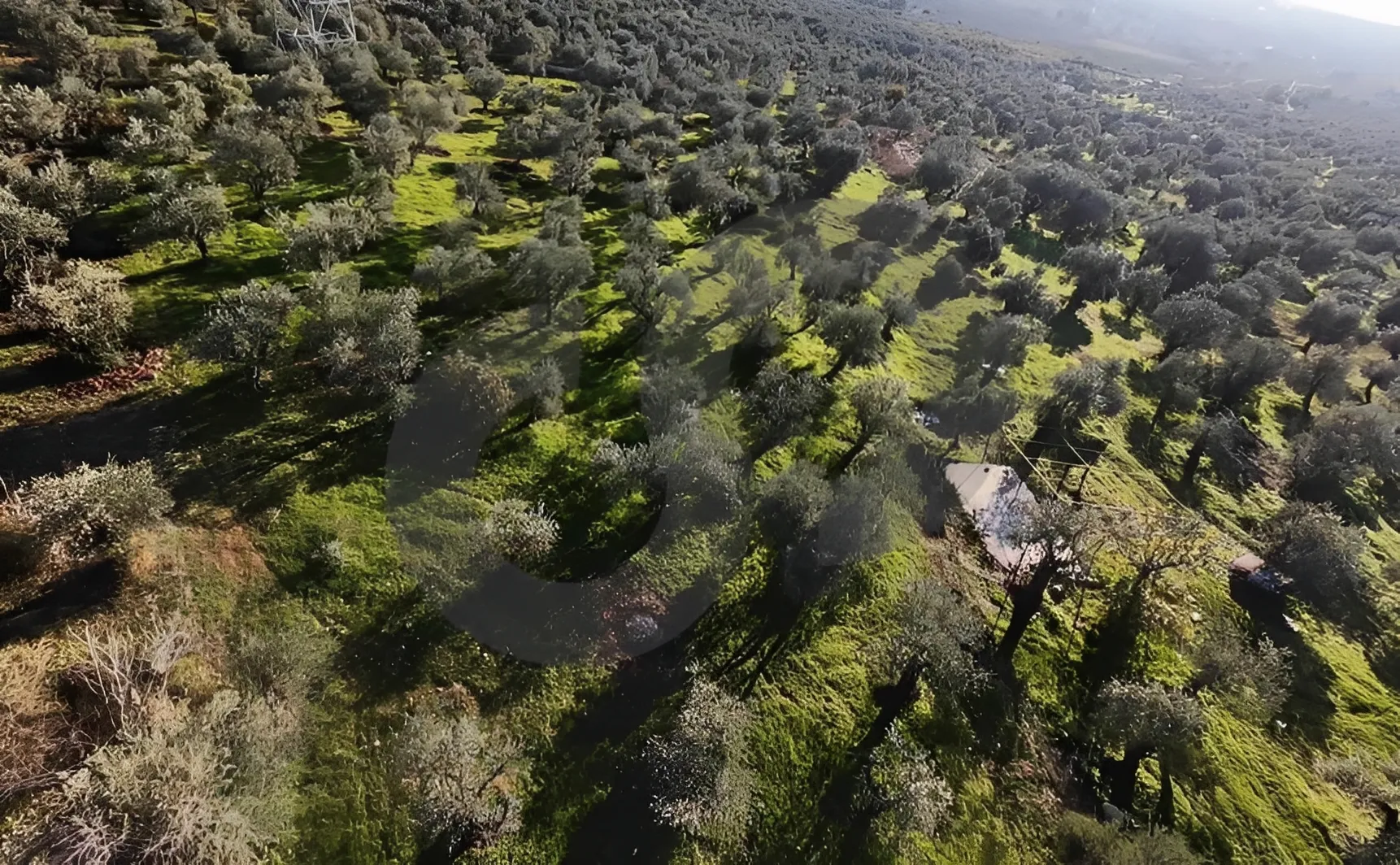 Land for Sale in Zgharta, Lebanon