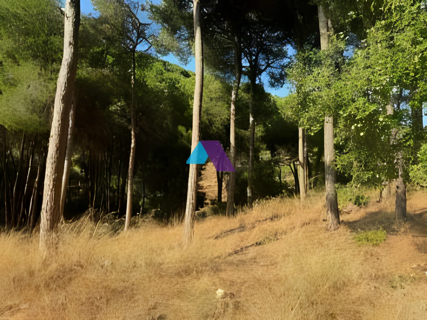 Land for Sale in Mansourieh