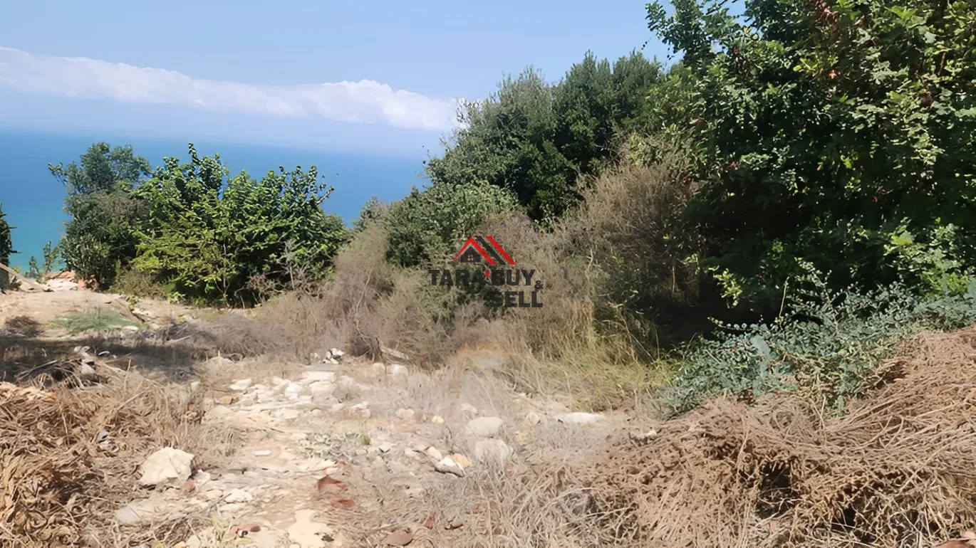 Land for Sale in Halat, Lebanon
