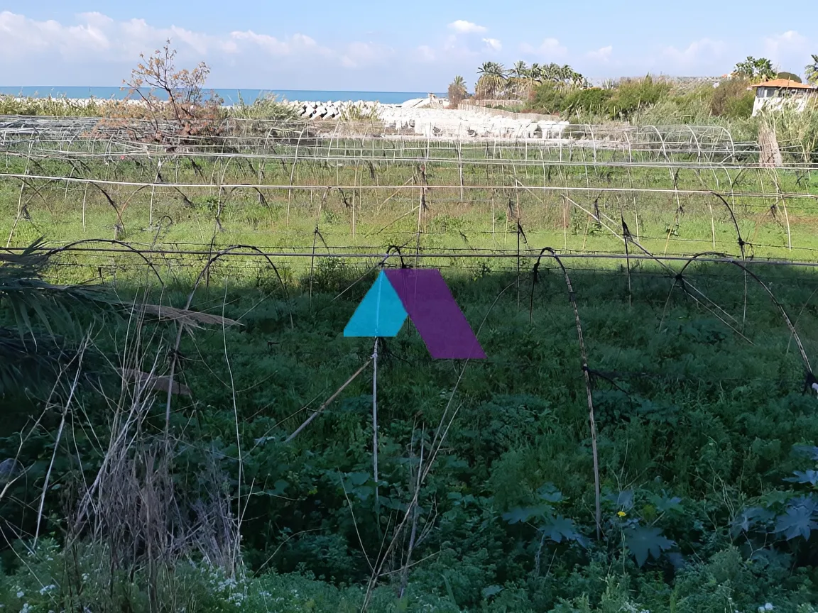 Land for Sale in Kaslik
