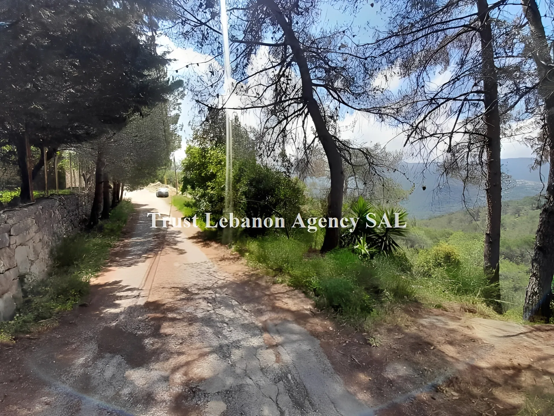 Land for Sale in Metn Oyoun Lebanon