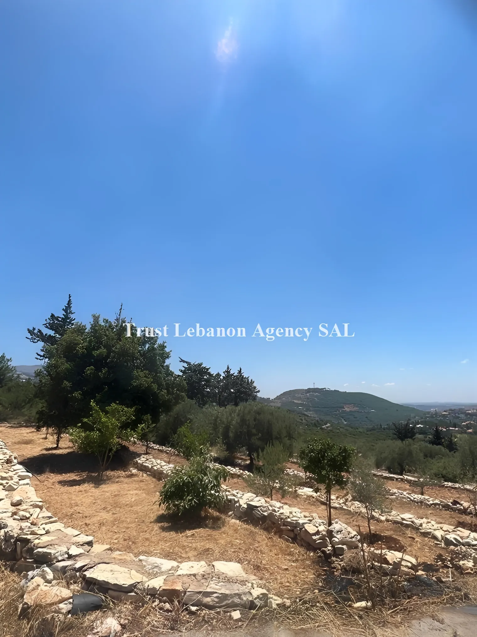 Land for Sale in Jezzine, Aanan