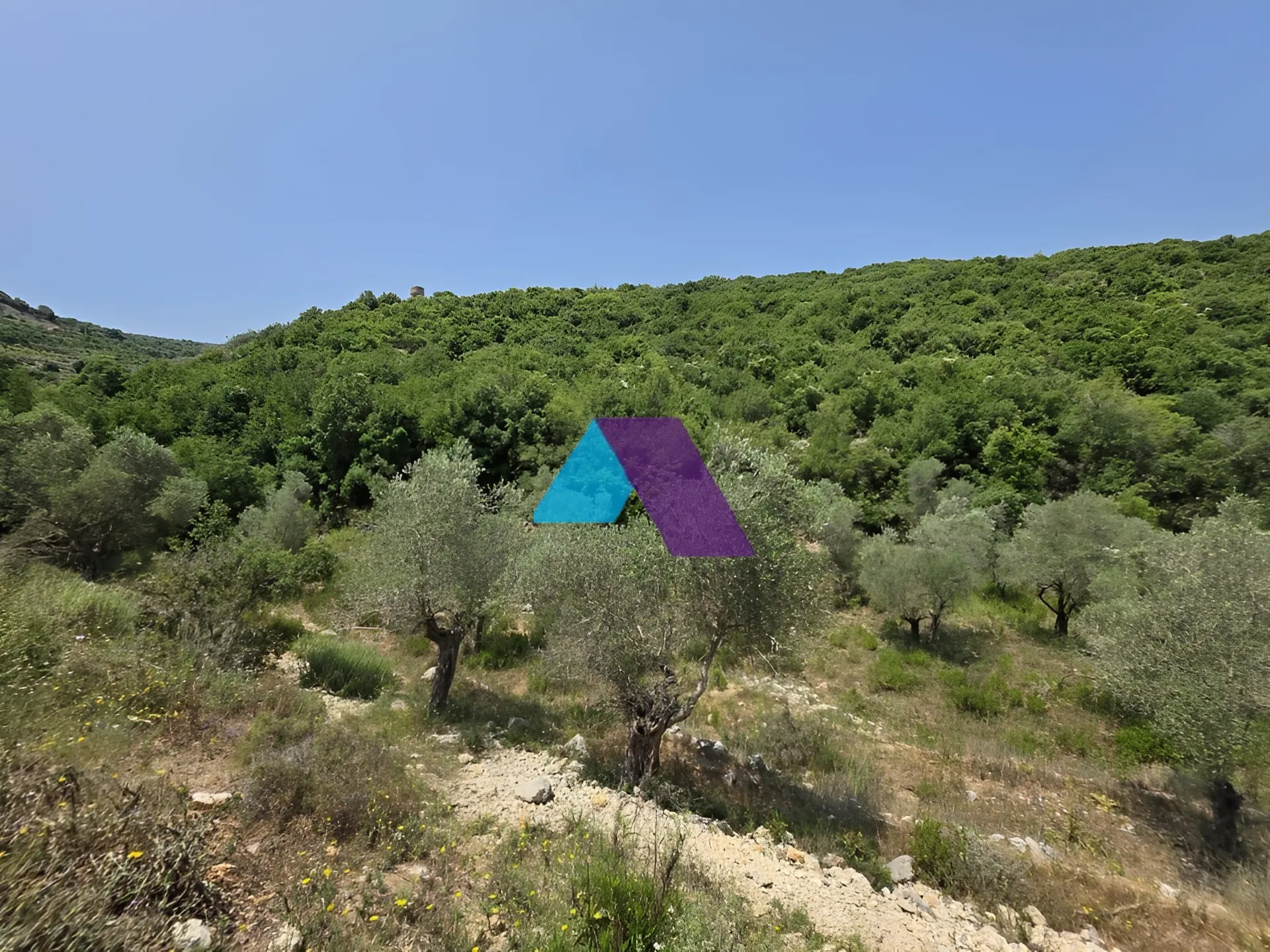 Land for Sale in Batroun
