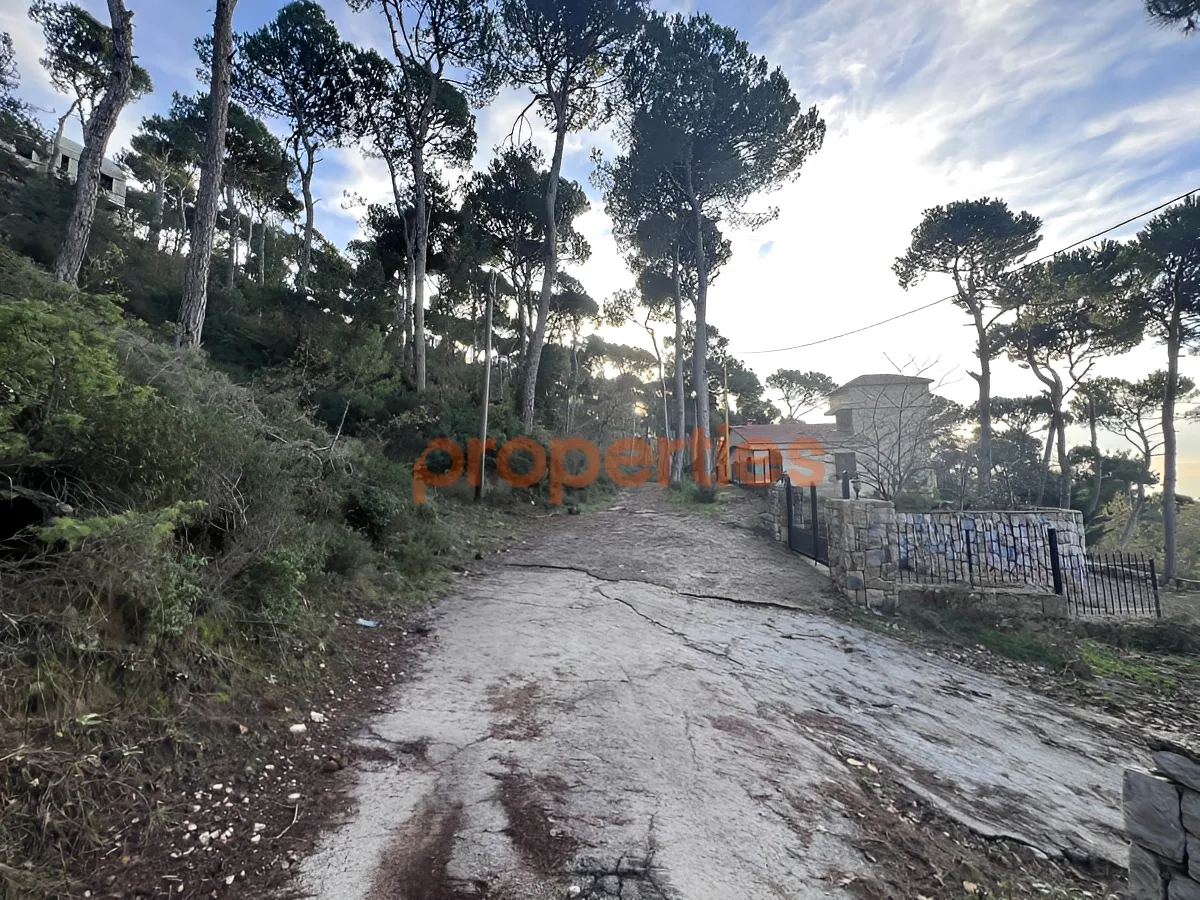 Land for Sale in Bharsaf