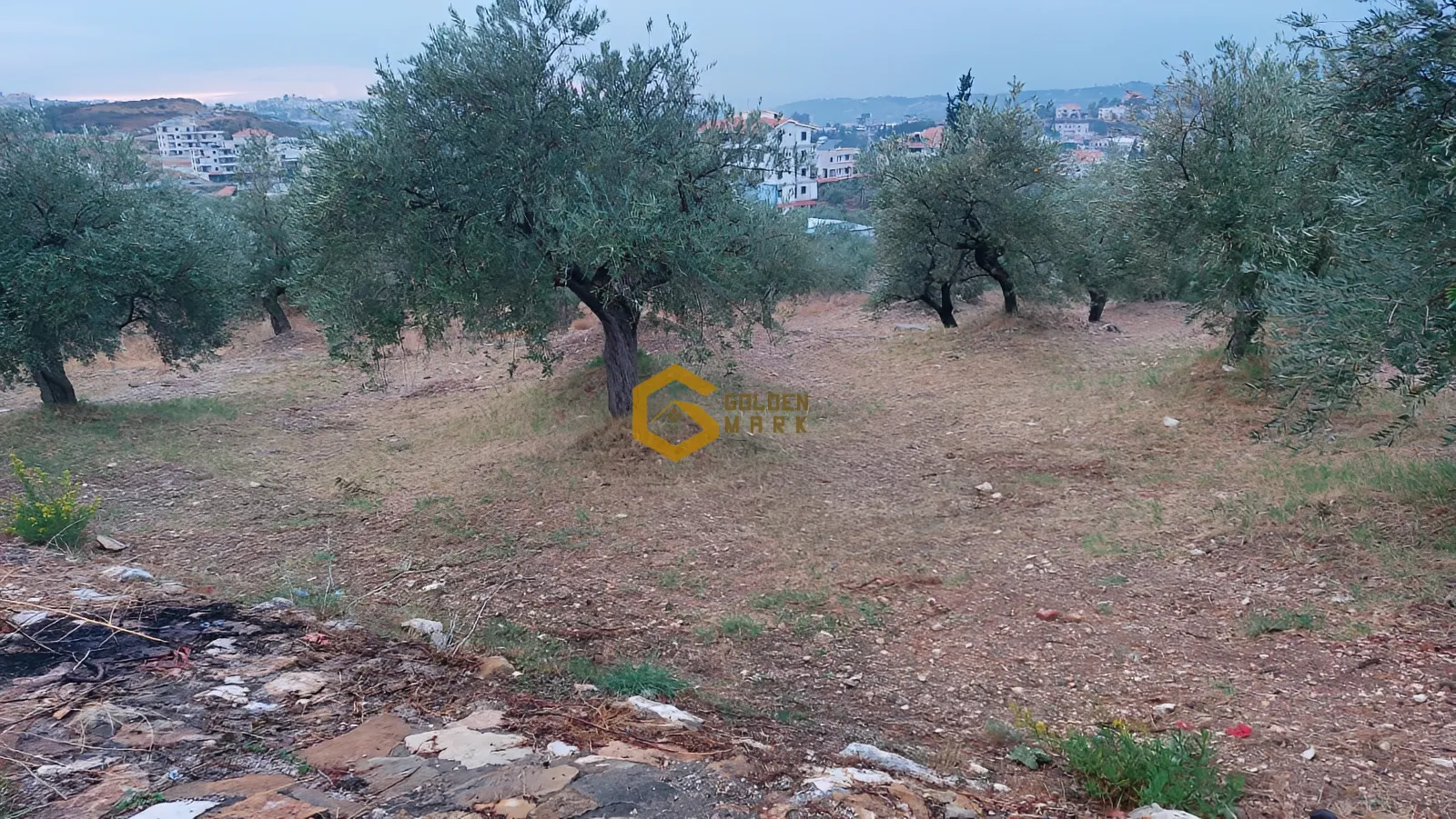 Land for Sale in Kfar Saroun