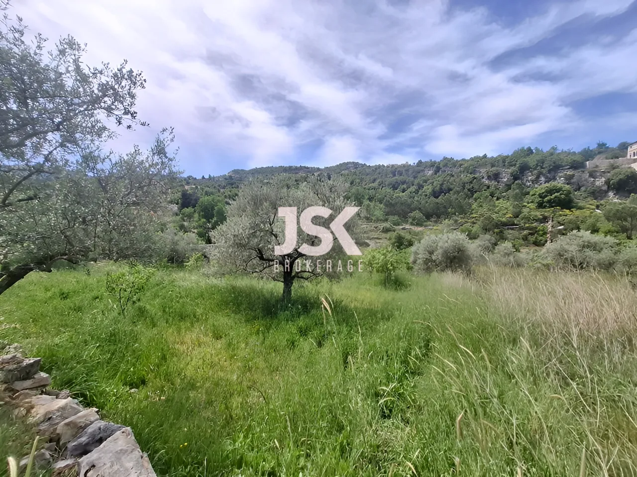 Land for Sale in Lehfed