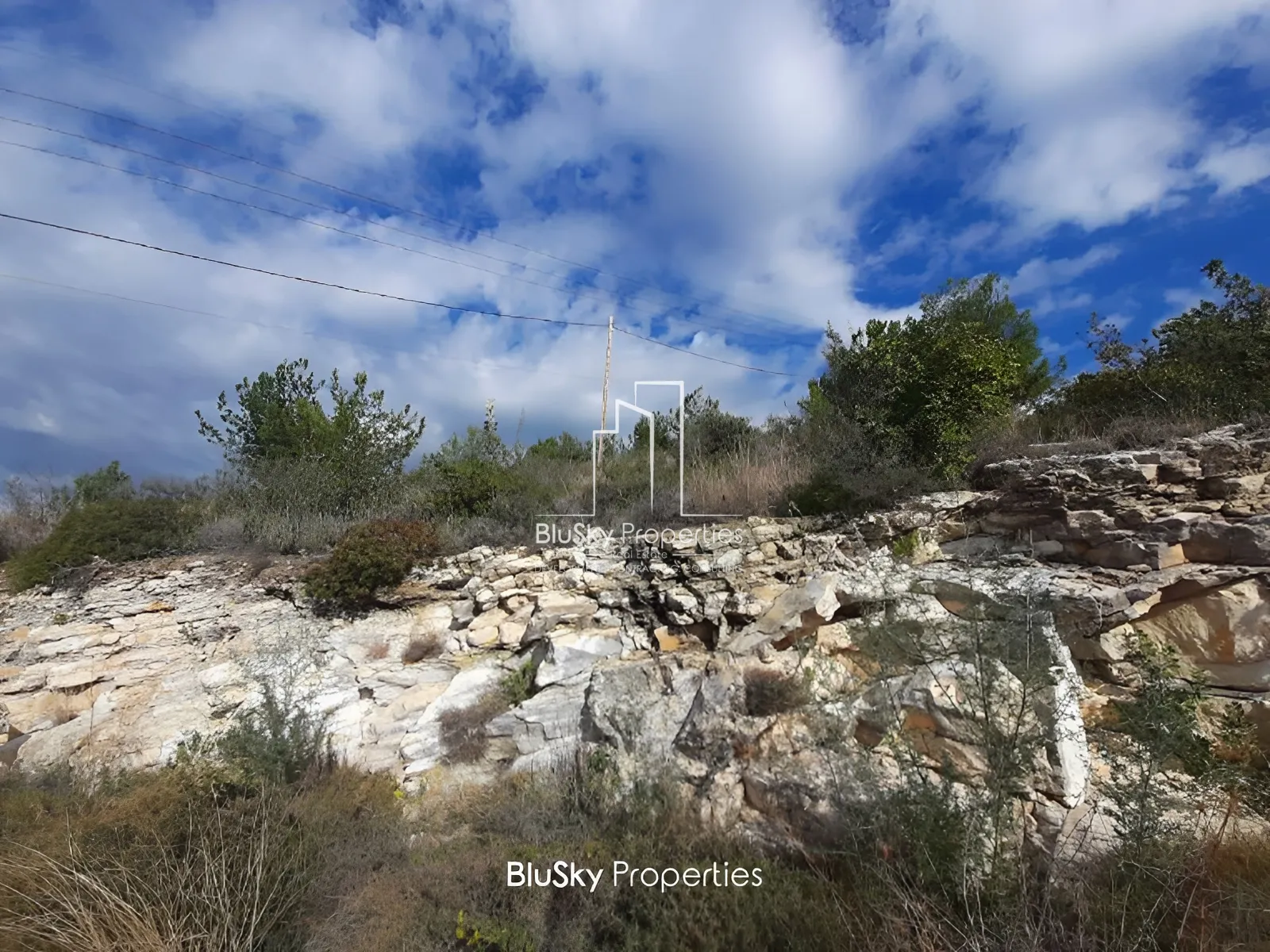 Land for Sale in Fidar