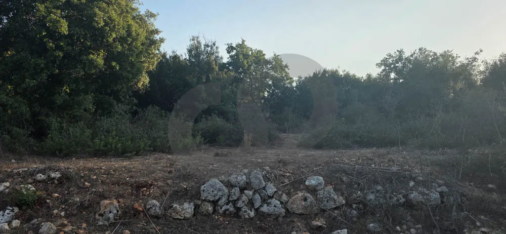 Land for Sale in Koura