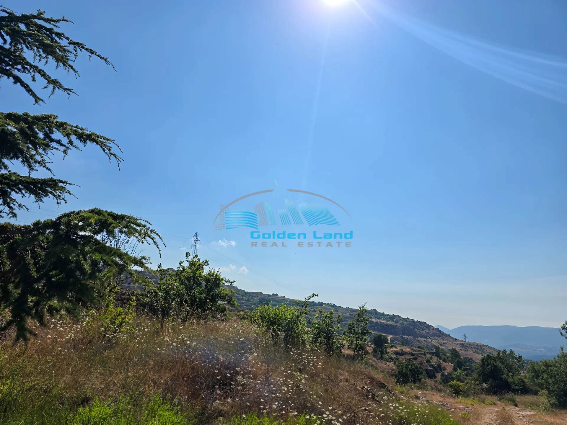 Land for Sale in Tarchich