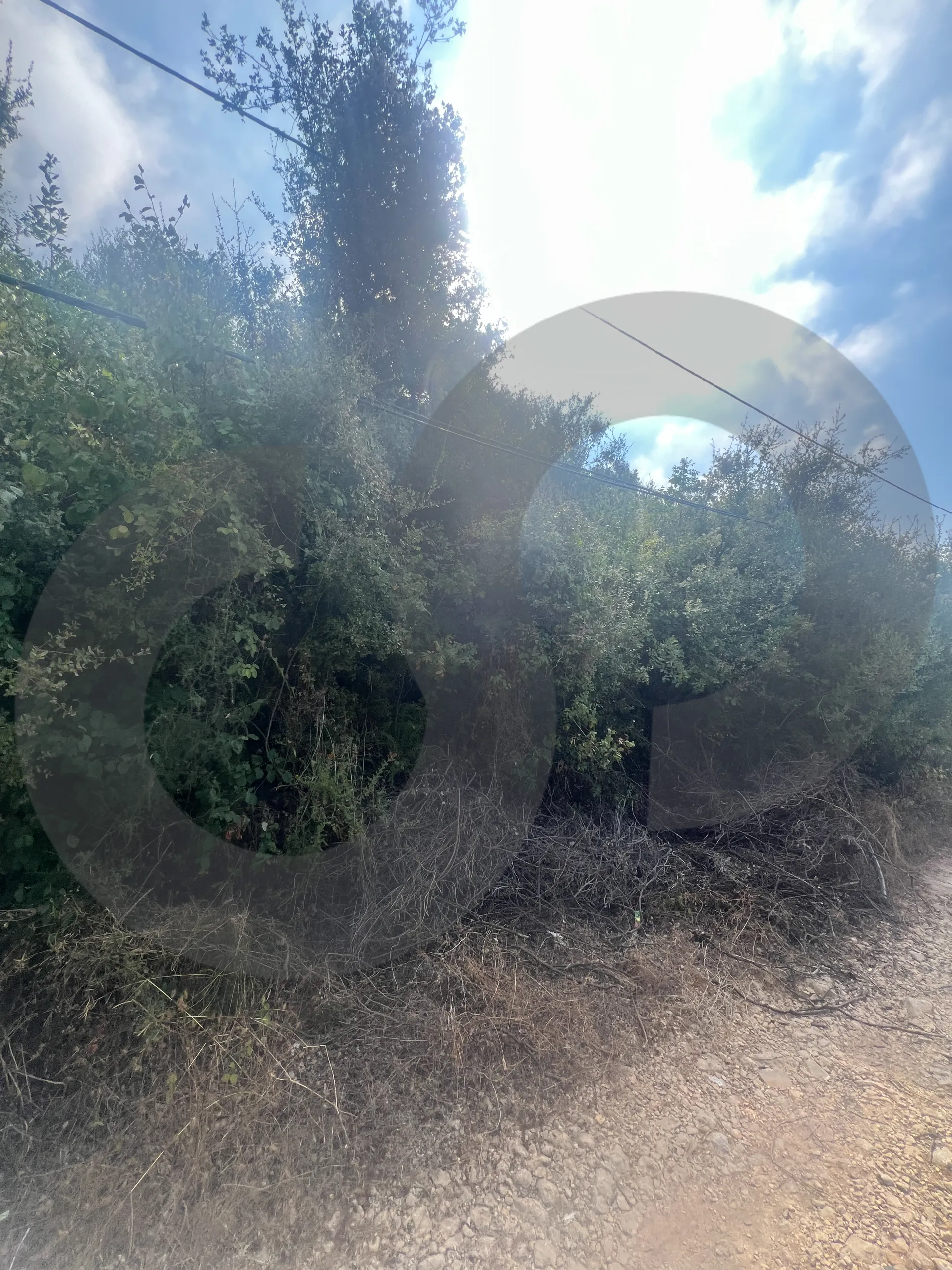 Land for Sale in Byblos