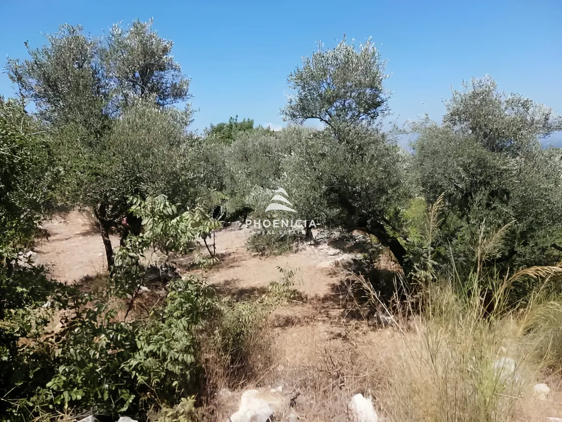 Land for Sale in Monsef
