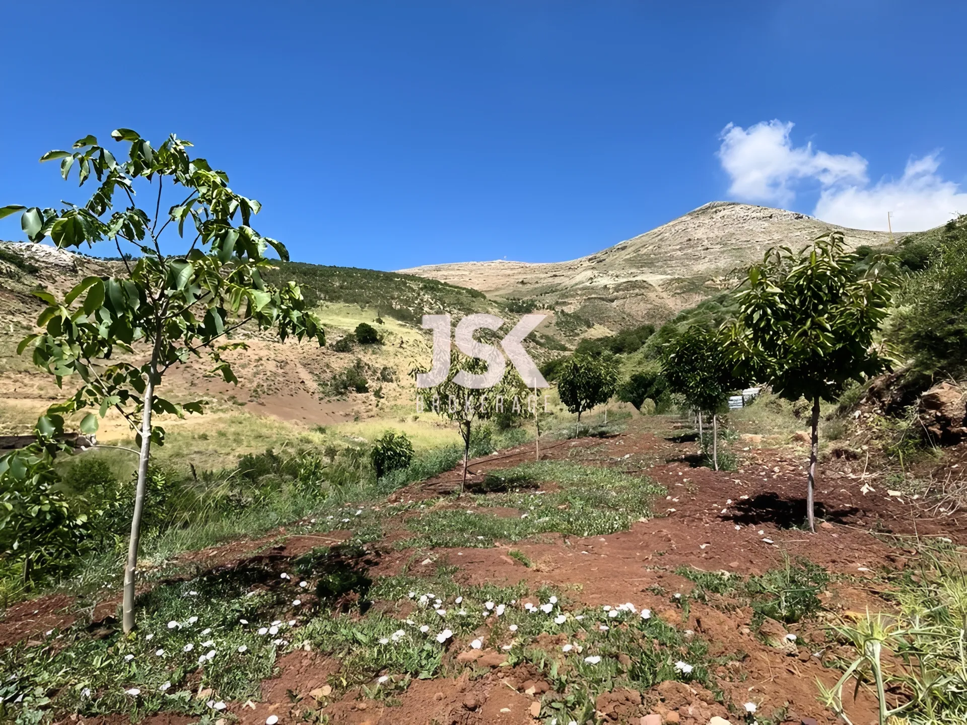 Land for Sale in Tannourine El Tahta