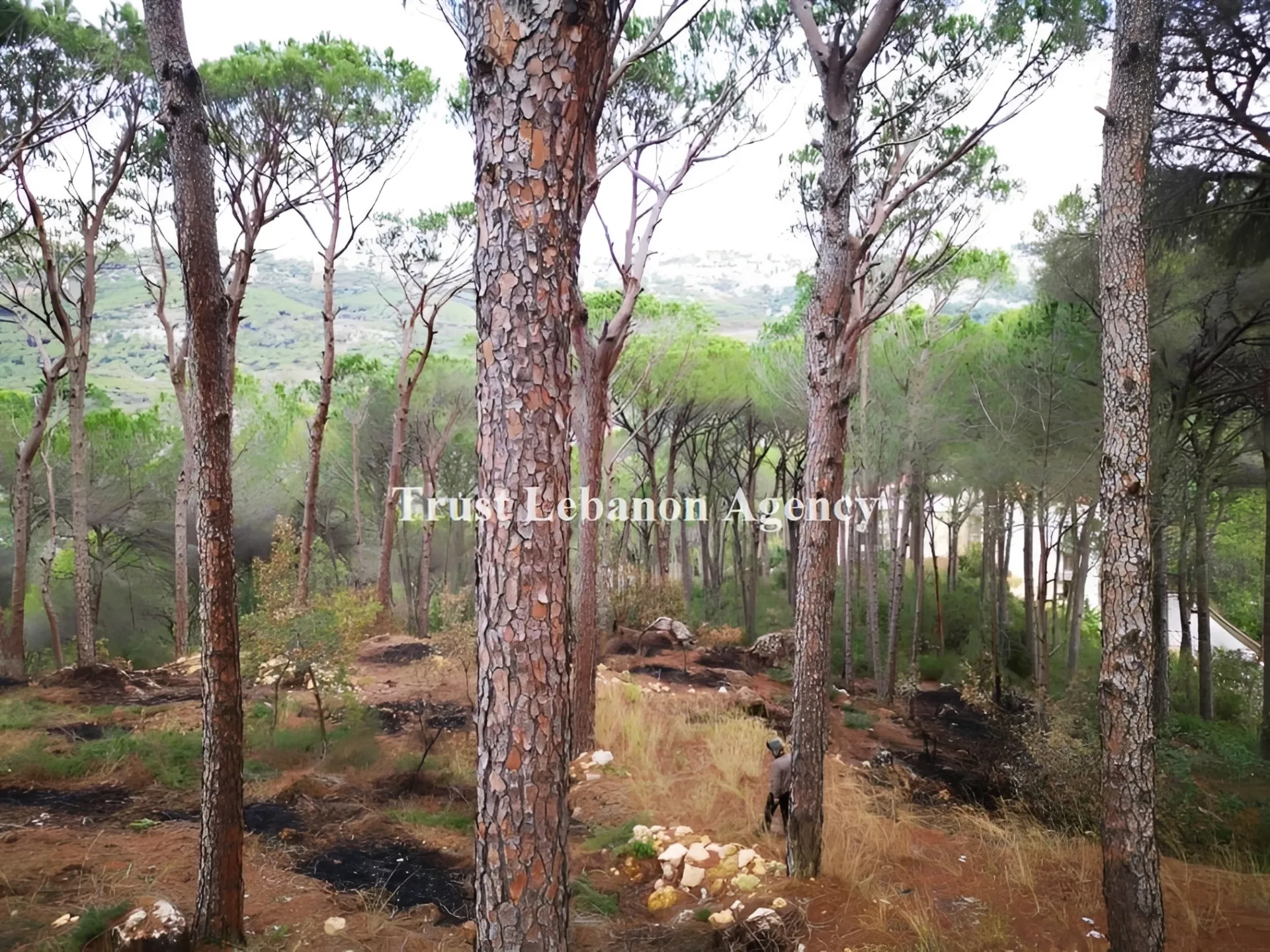 Land for Sale in Baabda, Zandouka