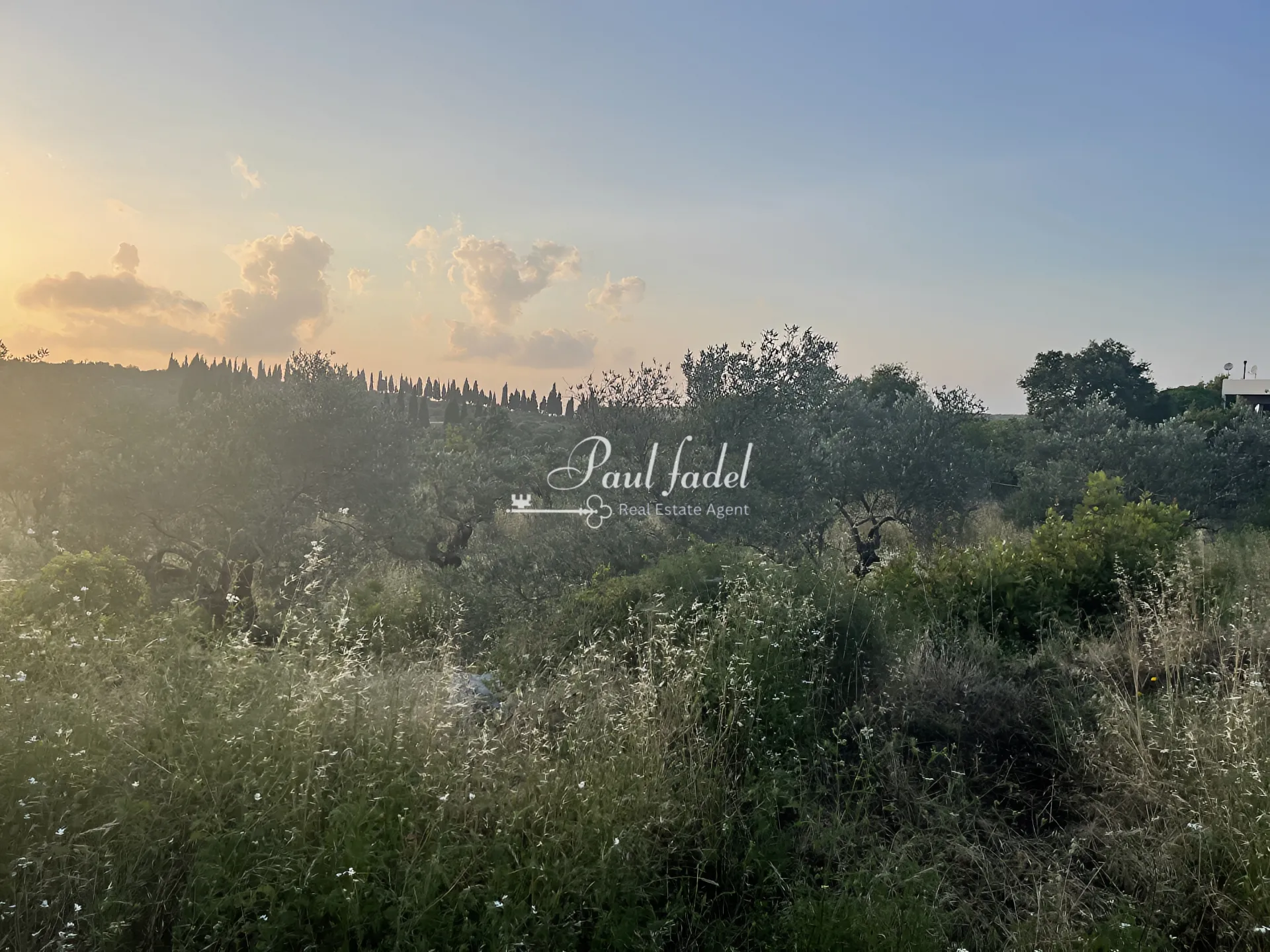 Land for sale in Batroun, lebanon