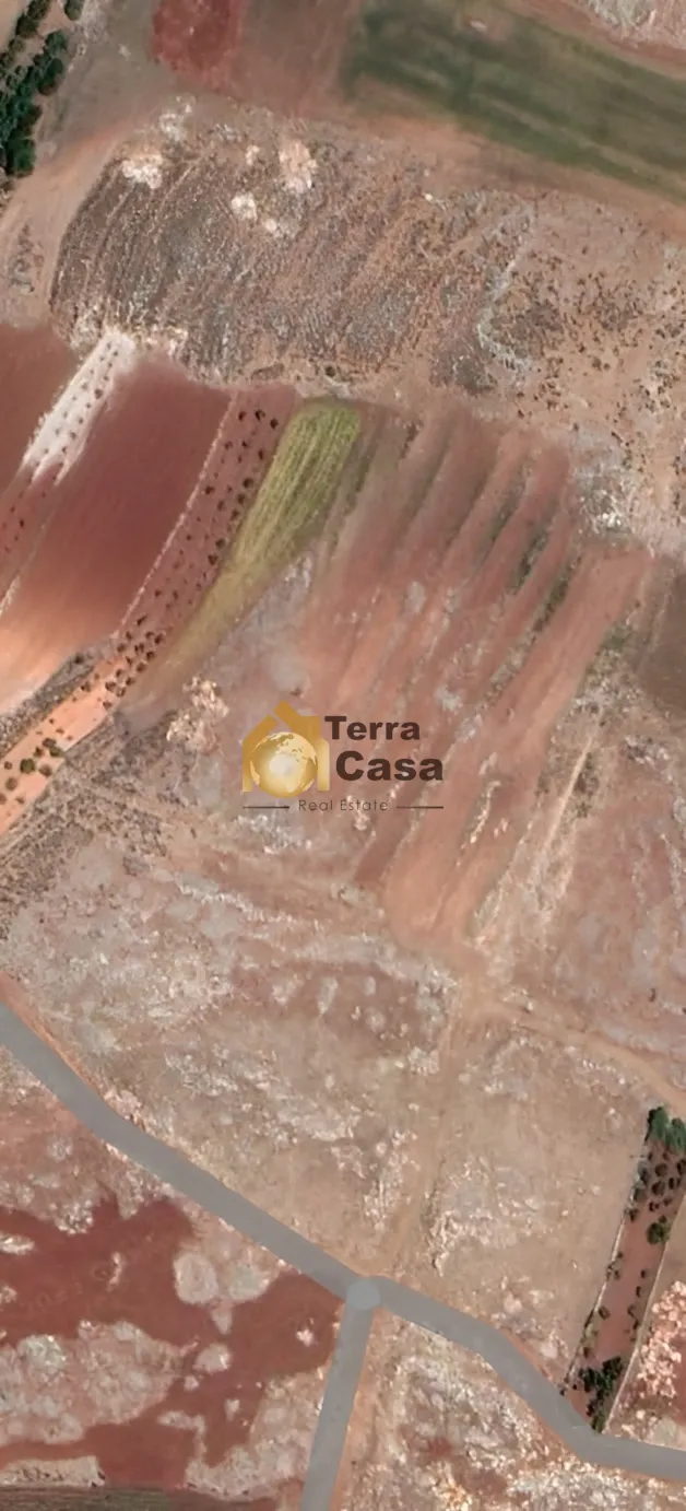Land for Sale in Lala West Bekaa Agriculture