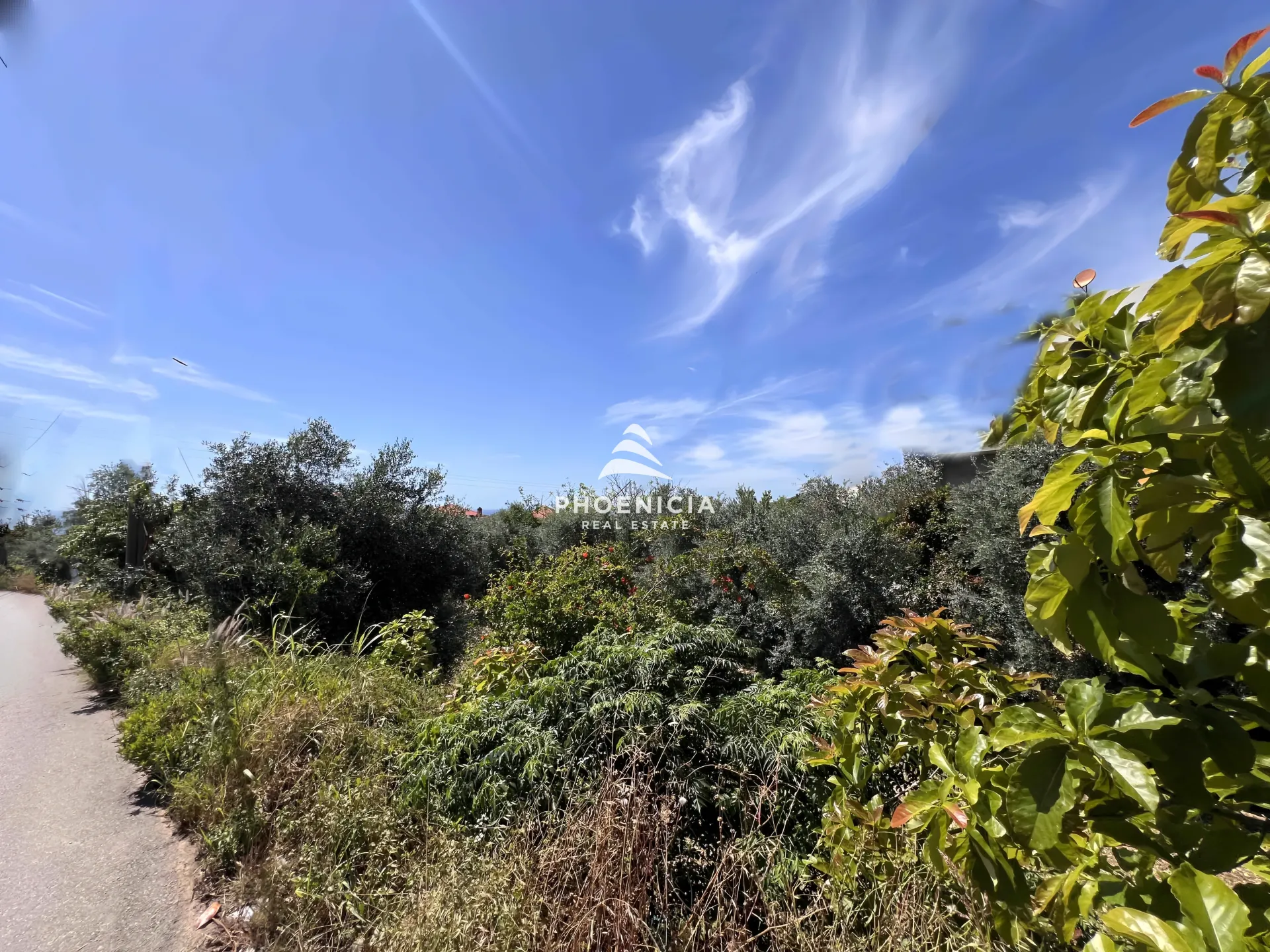 Land for Sale in Batroun