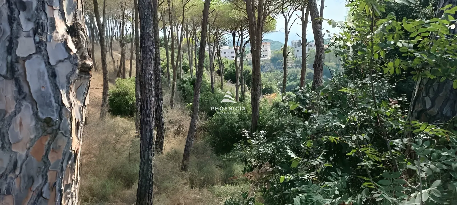 Land for Sale in Gharzouz