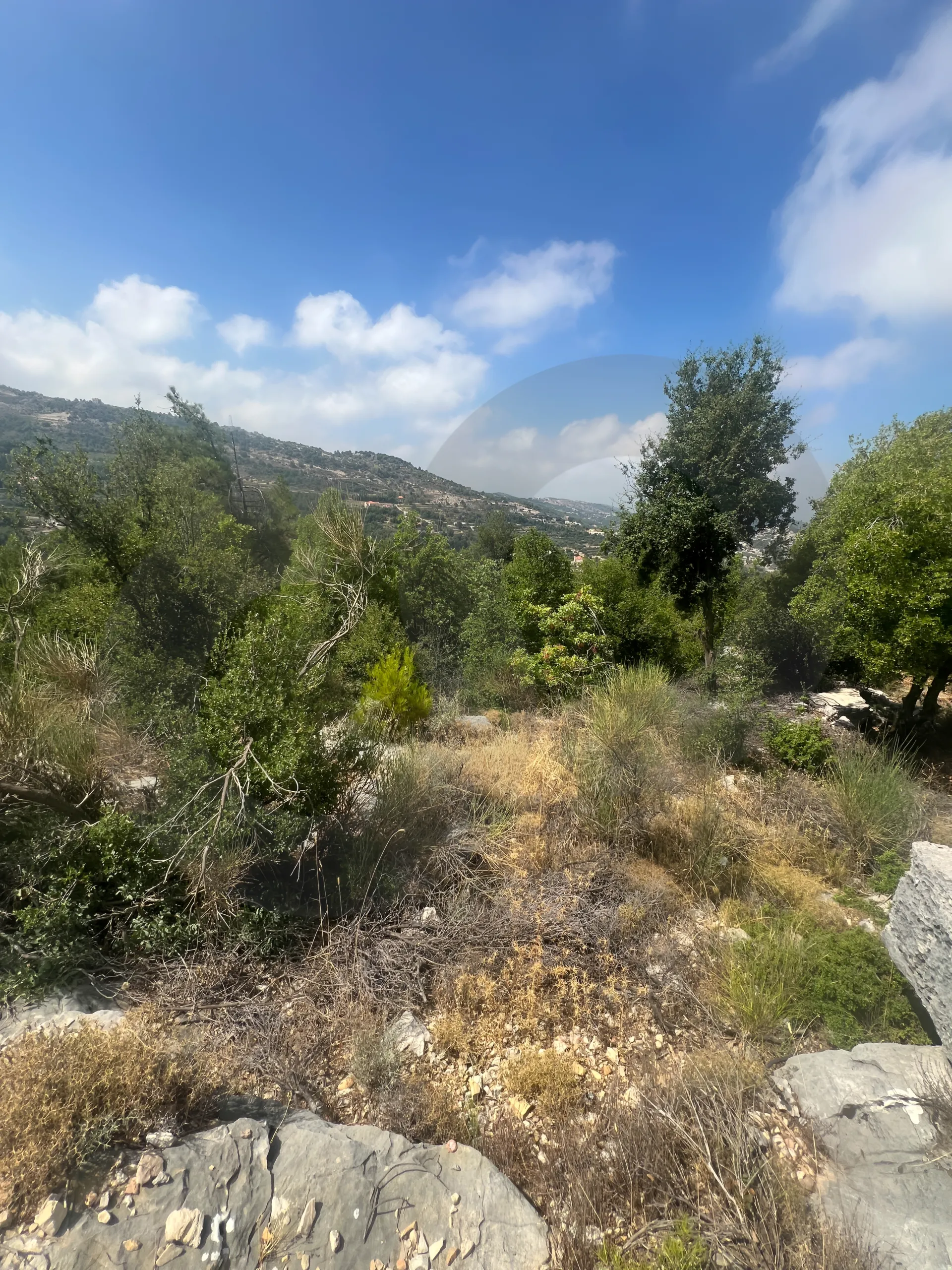 Land for Sale in Byblos