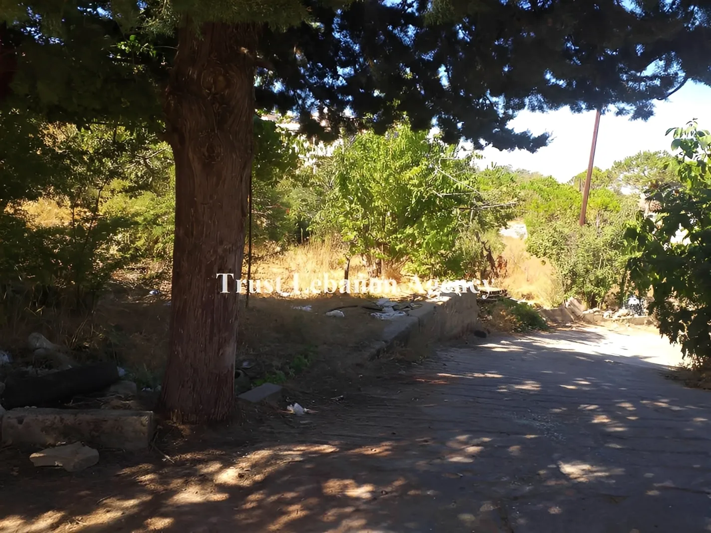 Land for Sale in Chouf Ain Zhalta