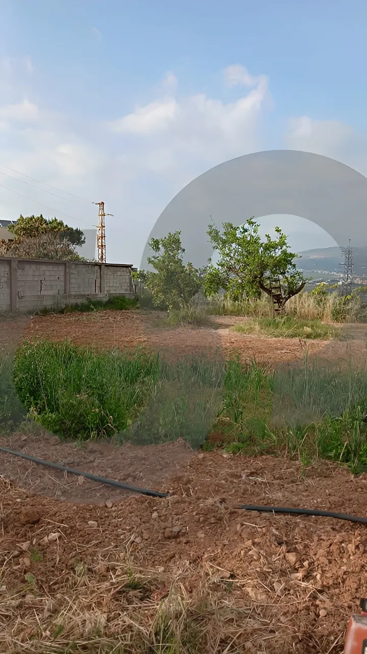 Land for Sale in Koura