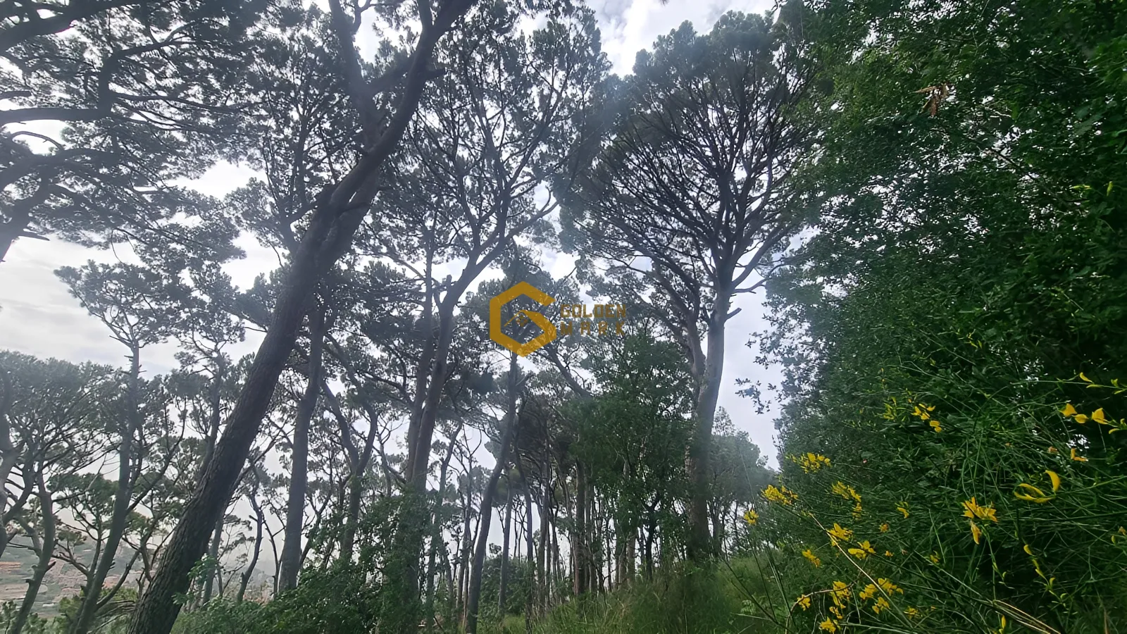 Land for Sale in Beit Chabeb