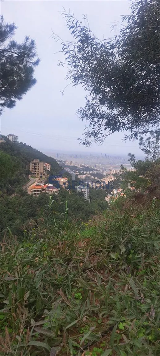 Land for Sale in Bayada