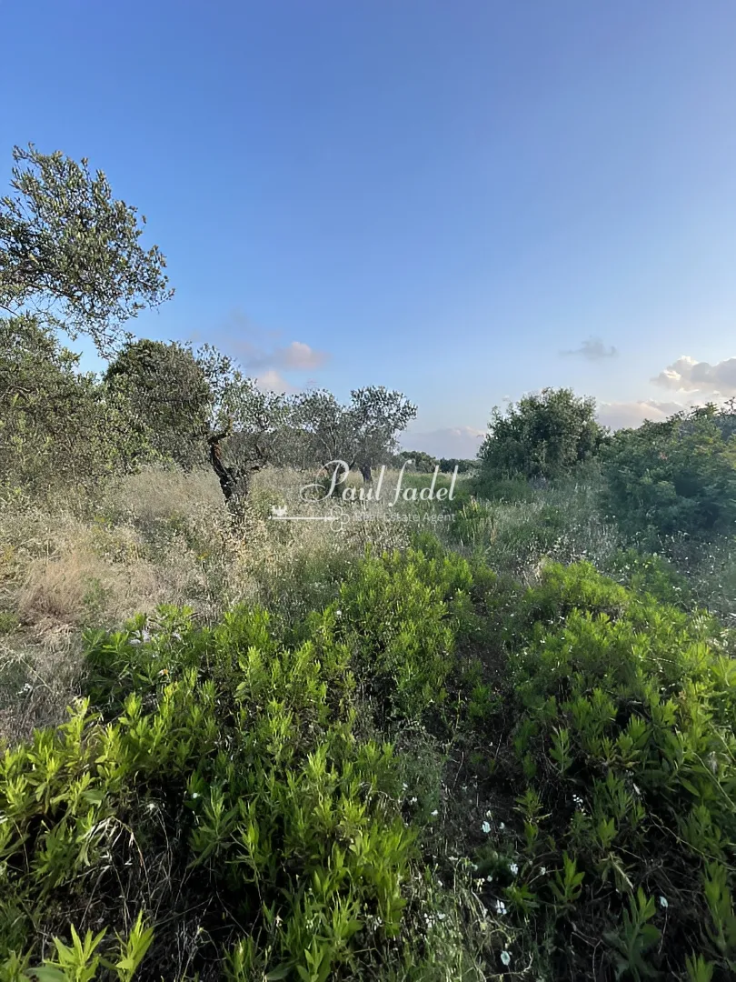 Land for sale in Batroun, lebanon