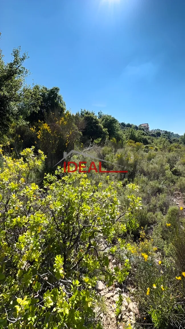 Residential Land for sale in Lehfed
