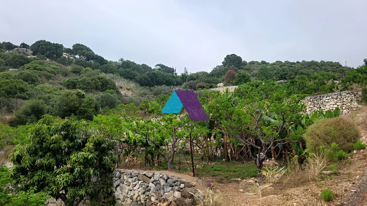 Land for Sale in Berbara