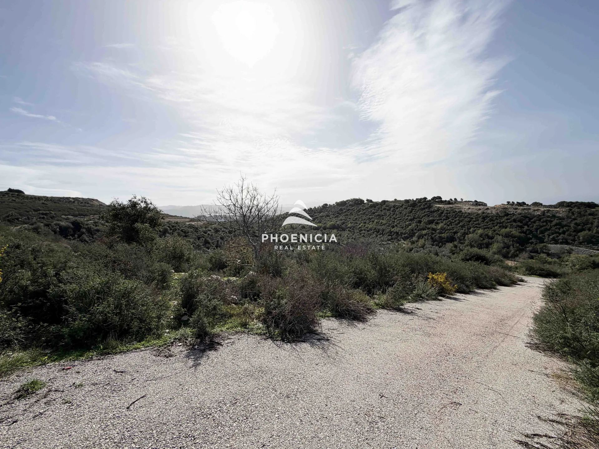 Land for Sale in Gharzouz