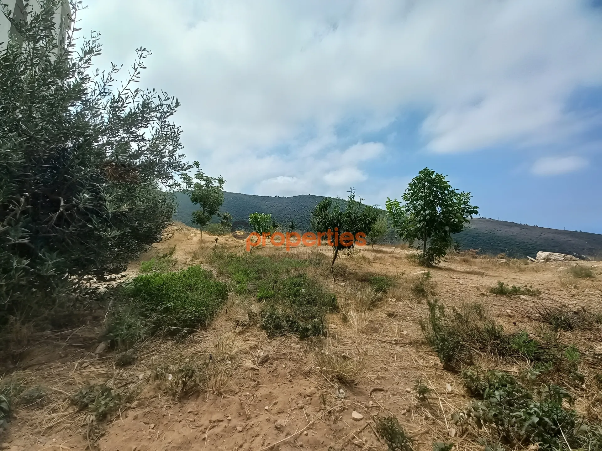 Residential Land for Sale in Breij