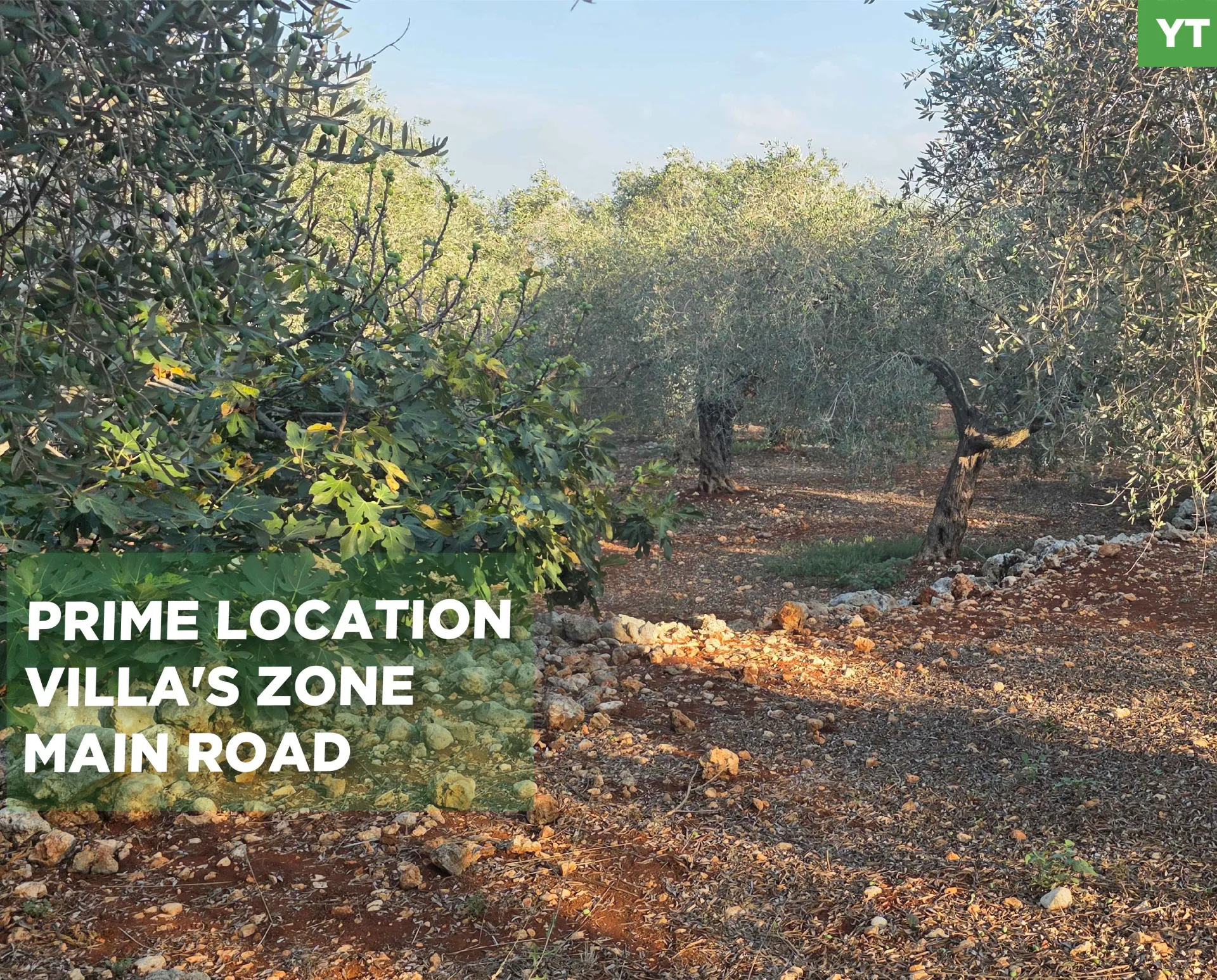 Land for Sale in Koura