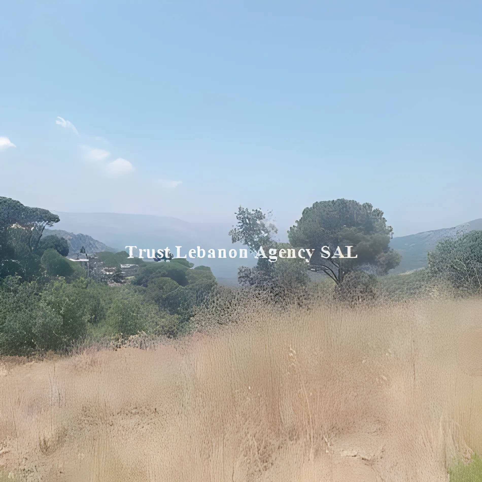 Land for Sale in Baabda Btekhneh Lebanon