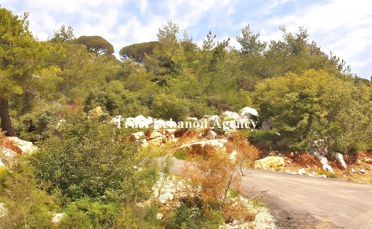 Land for Sale in Baabda, Kortada